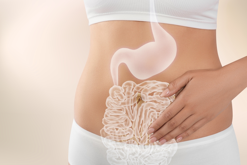 Woman,With,Healthy,Digestive,System,On,Light,Background,,Closeup.,Illustration